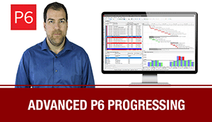 Complete Primavera P6 Bundle PA2 – Annual Plan