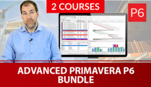 Advanced Primavera P6 Bundle PA2 – Annual Plan