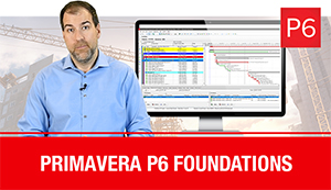 Primavera P6 Foundations PA2 – Annual Plan